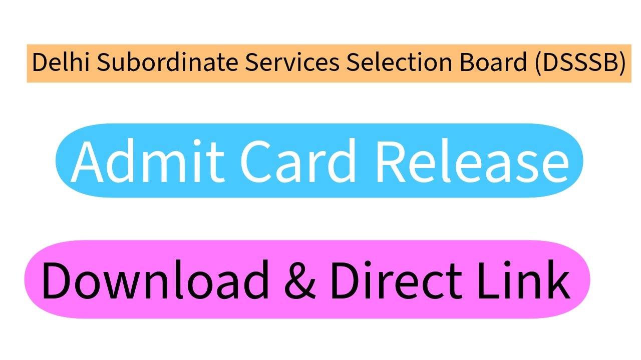 Delhi Subordinate Services Selection Board (DSSSB)